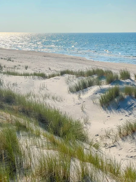 Panoramic view of sandy beach dunes with green vegetation meeting Baltic Sea horizon in Leba Poland summer landscape. High quality photograph