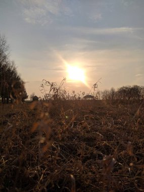 Warm sun sets over dry grassland field with wild vegetation creating moody atmospheric landscape during early spring season. High quality photograph.