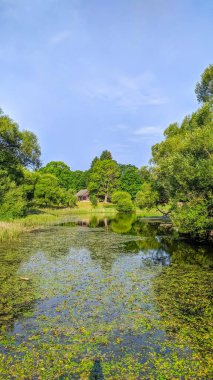Lida, Belarus, Mayıs 01, 2025. Huzurlu dere deresi yemyeşil yaz ormanı boyunca akıyor ve nehir boyunca yoğun bitki örtüsü var. Yüksek kalite fotoğraf.