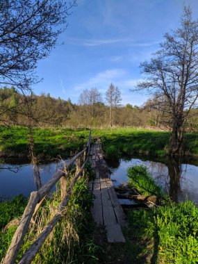 Brest, Belarus, 1 Mayıs 2025. Huzurlu kırsal alanda, gölet, huş ağaçları ve mavi gökyüzünü yansıtan manzaralı bahar manzarasını fotoğraflayan kişi. Yüksek kalite fotoğraf