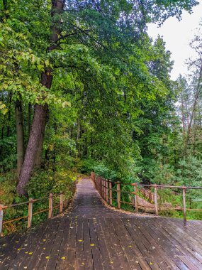 Lodz, Polonya, Mayıs 01, 2025. Lodz doğal park alanındaki panoramik vadi manzaralı yemyeşil orman boyunca uzanan ahşap gözetleme güvertesi yolu. Yüksek kalite fotoğraf