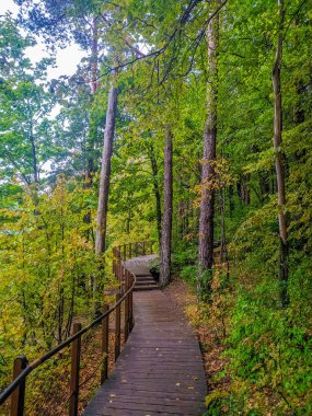 Lodz, Polonya, Mayıs 01, 2025. Orman yürüyüş yolu, ahşap patika ve metal korkuluklar Lodz doğal koruma alanındaki uzun yeşil ağaçların arasından geçiyor. Yüksek kalite fotoğraf