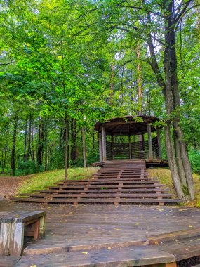 Lodz, Polonya, Mayıs 01, 2025. Lodz doğal parkı yürüyüş alanındaki sık yeşil yaprak döken ormandan inen merdivenleri olan ahşap yürüyüş yolu. Yüksek kalite fotoğraf