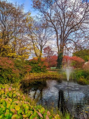 Varşova, Polonya, Mayıs 01, 2025. Park manzarası, gölet suyu yansıması olan çıplak ağaçlar ve Varşova Üniversitesi Kütüphanesi 'nin doğal bahçe çatısı manzarası. Yüksek kalite fotoğraf