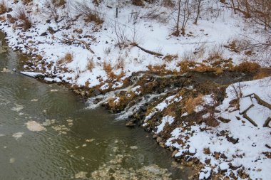 Varşova, Polonya, Ocak 01, 2025. Çıplak ağaçları yansıtan su birikintisi ve kışın şehir parkında kurumuş bitki örtüsü. Yüksek kalite fotoğraf