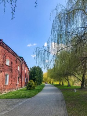 Brest, Belarus, 1 Mayıs 2025. Barışçıl bir yaya yolu, Brest Kalesi 'nin tarihi kırmızı tuğla binalarını geçerek yeşil ağaçların arasına çıkıyor. Yüksek kalite fotoğraf.