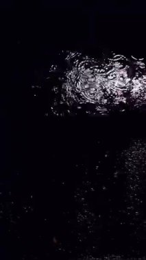Yağmur damlaları gece bir ışık kaynağı altında ıslak ve karanlık bir yüzeyde dalgalanmalar yaratır..
