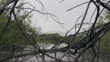 Bataklığı'nın dikey görünüm