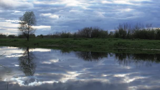 Río por la noche, un río salvaje con un cielo azul nublado — Vídeos de Stock