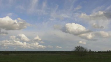 Yalnız ağaç bulutlar bir arka plan üzerinde