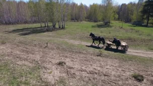 男性は森の中で馬のカートに行く — ストック動画