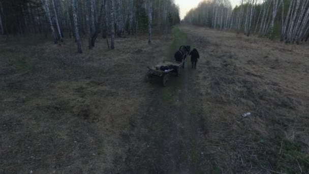 Two men riding on a horse carriage, vertical panorama to the sunset — Stock Video