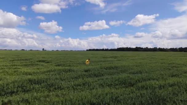Vousatý muž ve žluté bundě tančí proti modré obloze a zelené trávě — Stock video