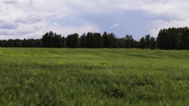 Hava fotoğrafçılığı. Sarı ceketli bir dansçı hip-hop yapıyor. Yeşil alanda hızlı kamera hareketi