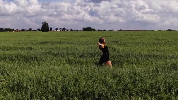 Аерофотозйомка. Дівчина танцює на фоні неба і зеленого поля — стокове відео