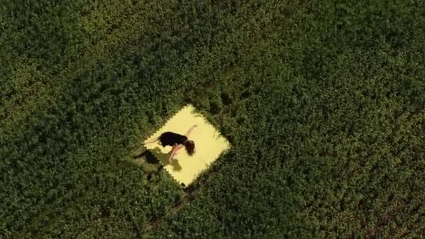 Uma rapariga dança no meio de um campo verde. Uma dançarina de roupas pretas pula no meio de um grande campo verde — Vídeo de Stock