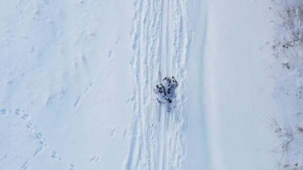 Лижник ходить зимовими пейзажами. Російське військове навчання — стокове відео