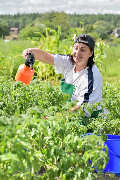 Kadın yeşil domates dökülen