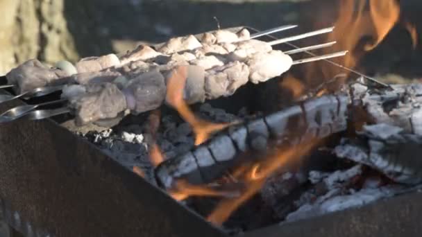 Barbecue in the forest — Stock Video