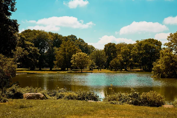 Blue sky above forest and pond at summer — Stock Photo, Image