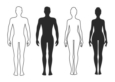 Erkek ve kadın, insan vücudu silueti, ana hatlarıyla hisse senedi çizimi..