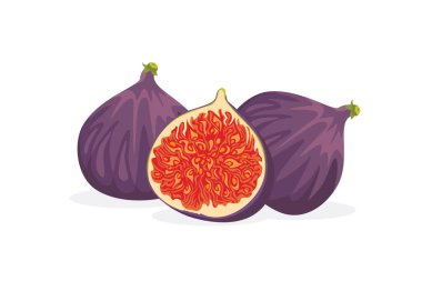 İncir bütün ve sağlıklı organik meyveleri tohum örnekleriyle kesiyor.