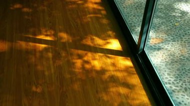 Güneş ışığı yerden tavana doğru akar, ahşap zemine noktalı ışık ve gölge bırakır ve yapraklar sıcak ve huzurlu bir ev atmosferi yaratır..