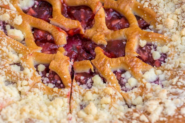 Fresh cake with cherry, sprinkled with powdered — Stock Photo, Image