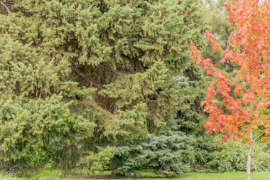 Baywalk. Volgograd şehri ana konumlar