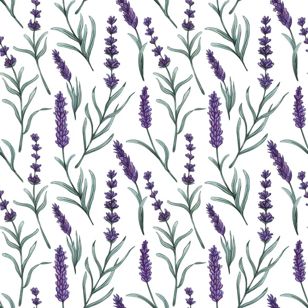 Watercolor lavender seamless pattern. Hand drawn floral background.