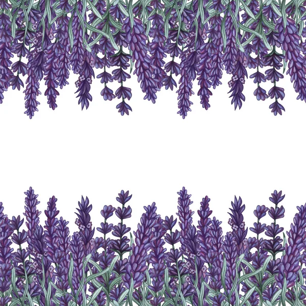 Lavendel blommor ram. Akvarell handritad bakgrund. lavender illustration. — Stockfoto