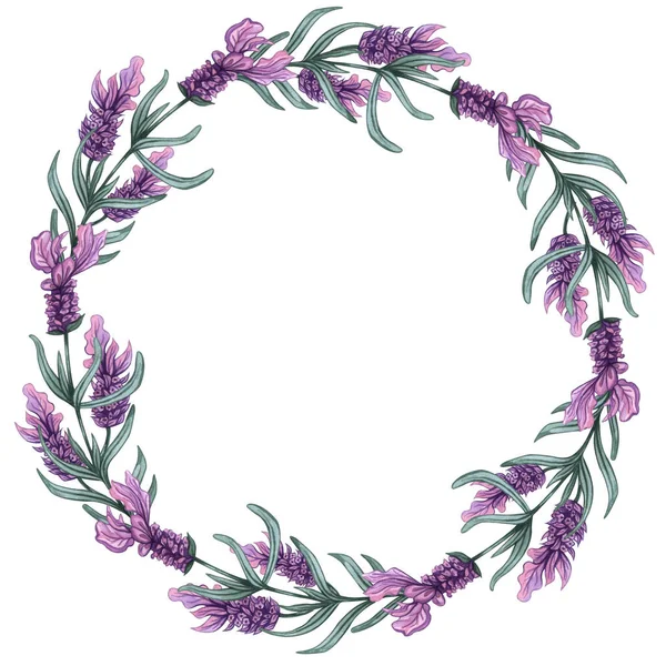 Cornice fiori di lavanda. Acquerello disegnato a mano sfondo. illustrazione lavanda — Foto Stock