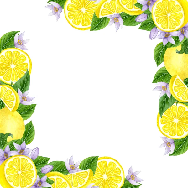 Акварельный лимонный венок. Ручная рама с лимонами и листьями — стоковое фото