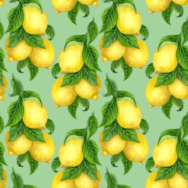 Dikensiz suluboya limon. El yapımı limon ağacı meyveleri, yapraklar.