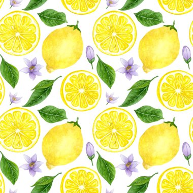 Dikensiz suluboya limon. El yapımı limon ağacı meyveleri, yapraklar.