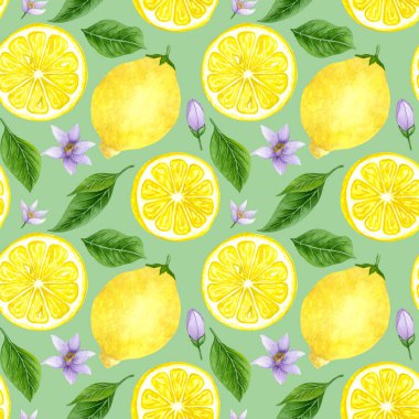 Dikensiz suluboya limon. El yapımı limon ağacı meyveleri, yapraklar.