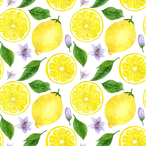 Watercolor lemon seamless patten. Hand drawn lemon tree fruits, leaves. — Stock Photo, Image