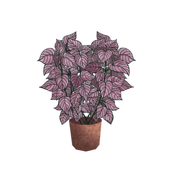 Aquarell-Illustrationen von Topfpflanzen. Plnat in einem Topf isoliert auf weißem Hintergrund. — Stockfoto
