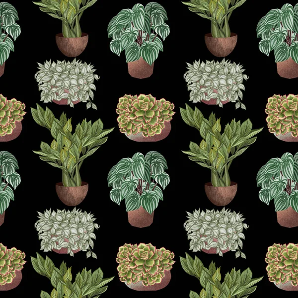 Varie piante in vaso modello senza soluzione di continuità. Sfondo piante domestiche — Foto Stock