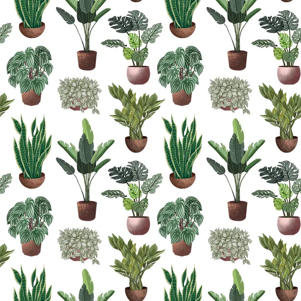 Various potted plants seamless pattern. Houseplants background — Stock Photo, Image