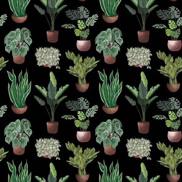 Various potted plants seamless pattern. Houseplants background — Stock Photo, Image