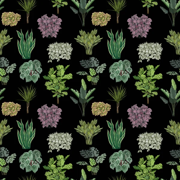 Olika krukväxter sömlösa mönster. Krukväxter bakgrund — Stockfoto