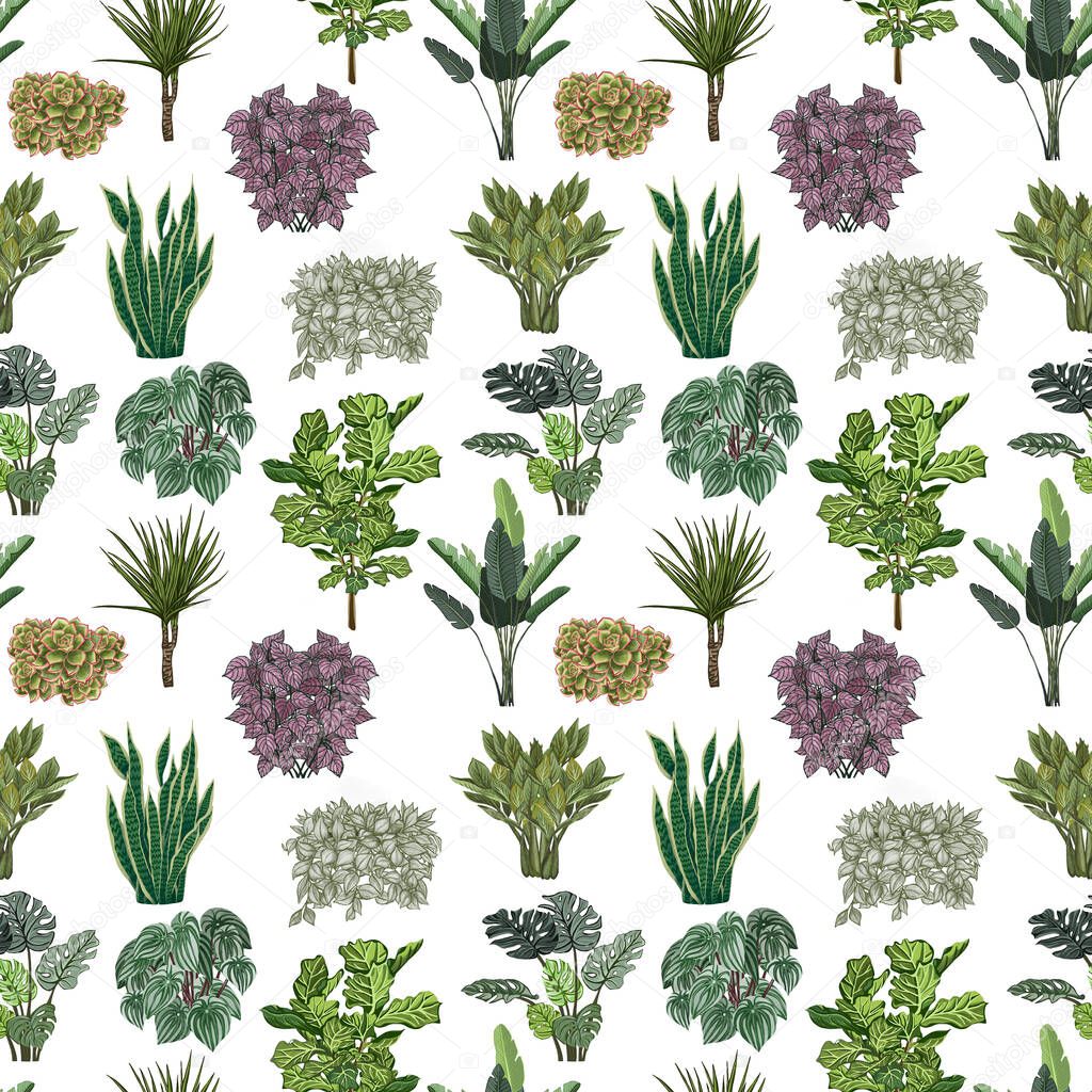Various potted plants seamless pattern. Houseplants background