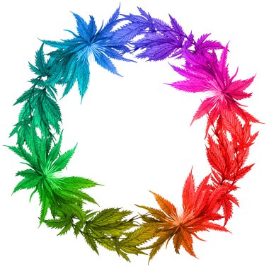 Suluboya gökkuşağı kenevir çerçevesi. Tebrik kartı, logo, çerçeve veya sınır için el yapımı yabani kenevir bitkisi çelengi