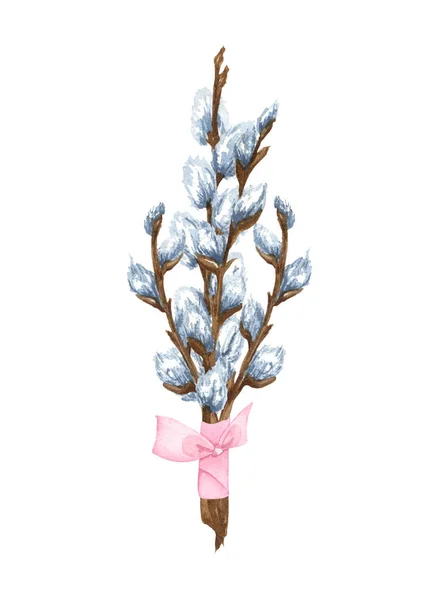 Watercolor bunch of pussy willow twigs. Spring bouquet. Easter decorations. Hand drawn illustration isolated on white background —  Fotos de Stock