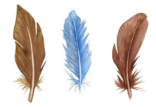 Set de plumes aquarelle. Plumes d'oiseaux dessinées à la main clipart. — Photo