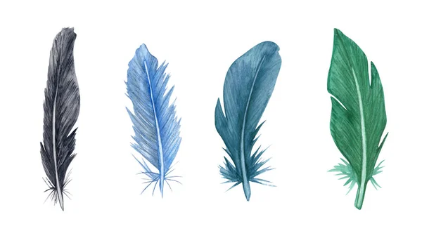 Watercolor feather set. Hand drawn bird feathers clipart. — Stock Photo, Image