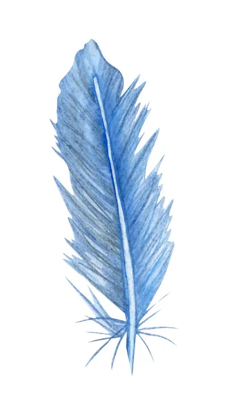 Watercolor blue birds feather. Single feather isolated on white — Stock Photo, Image