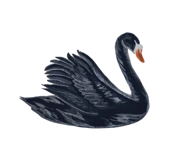 Акварельная иллюстрация черного лебедя. Черная птица, нарисованная вручную на белом фоне. концепция любви — стоковое фото