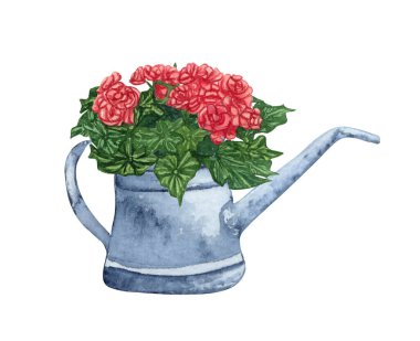 Kırsal sulama tenekesinde sulu boya buketi. Saksıdaki el yapımı bahçe çiçekleri.